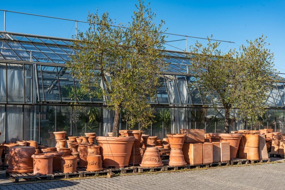 negozio di vasi per piante e fiori