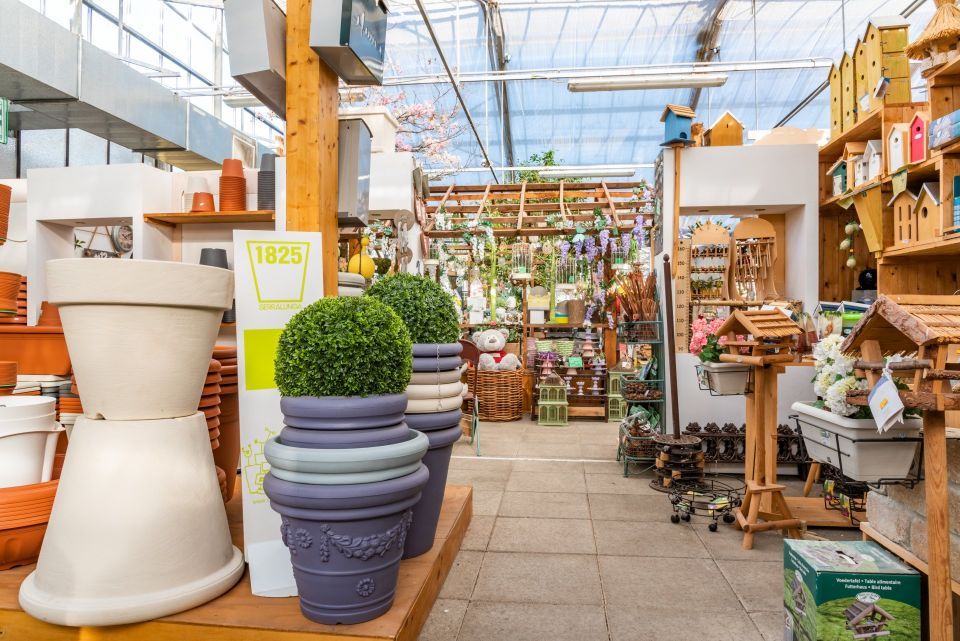 negozio di piante e vasi