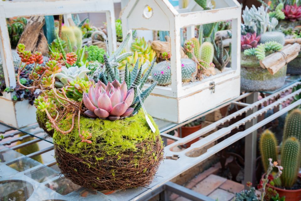 negozio di composizioni floreali