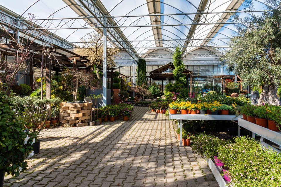 vivaio di piante e fiori per interni ed esterni