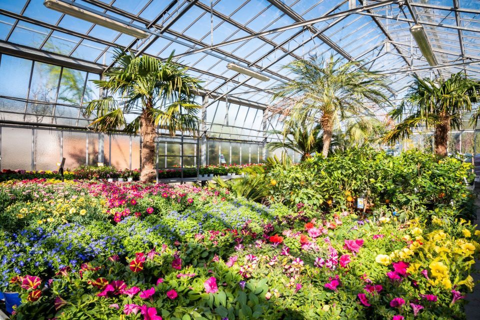 piante per il giardino