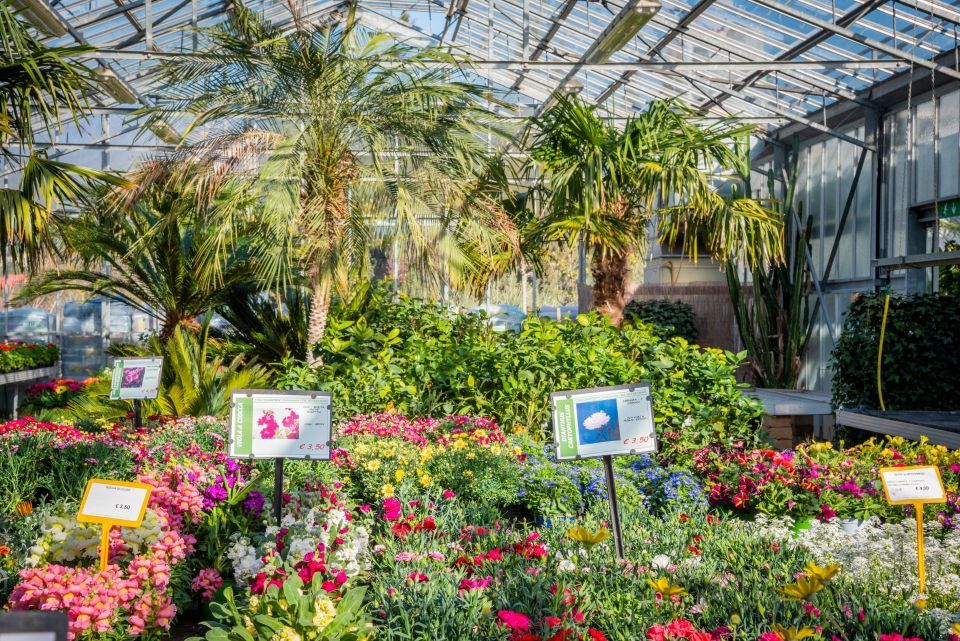 piante ornamentali per esterni e interni