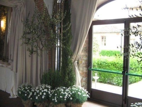 composizioni di piante per allestimento di cerimonie