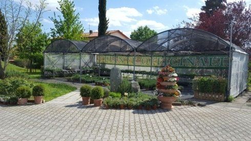 viale del negozio di piante e fiori