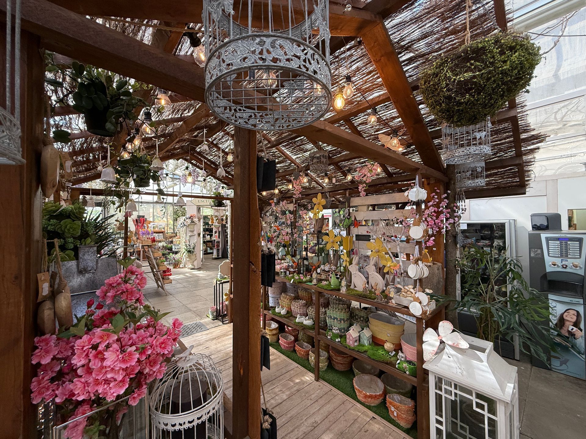 giardino con fiori e piante da esterno