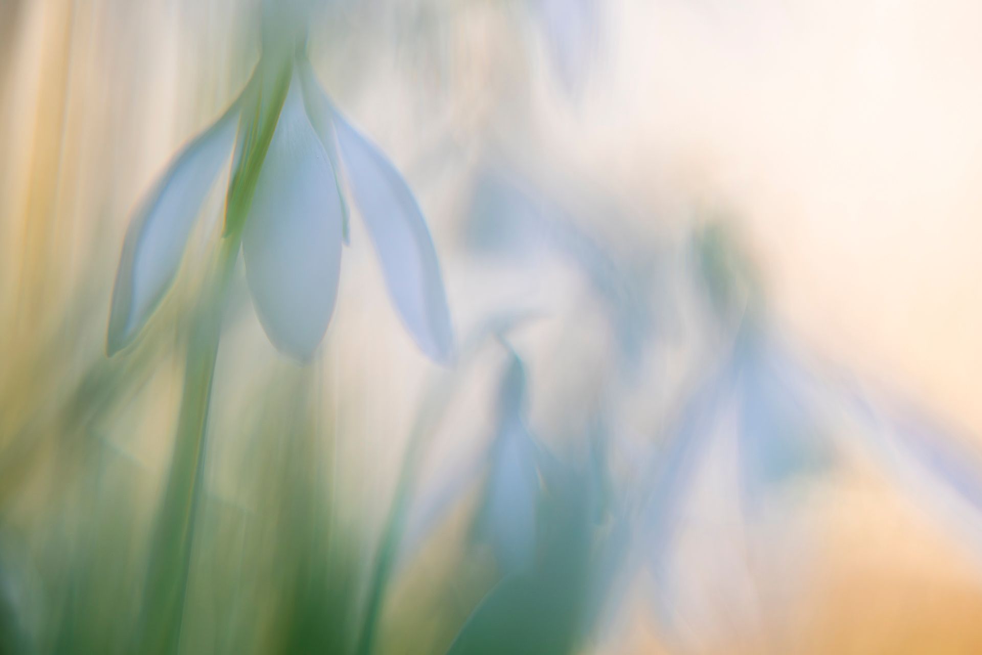 Kreatives Frühlingserwachen