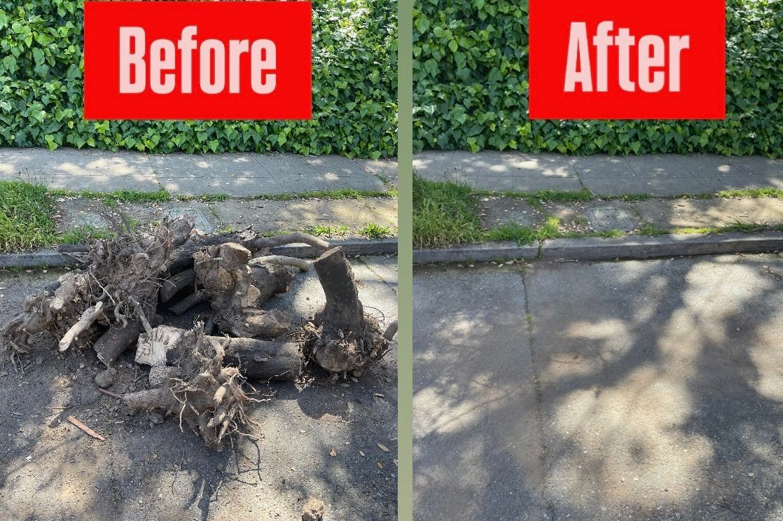 Before-and-after of tree roots cleared from asphalt next to curb and green hedge.
