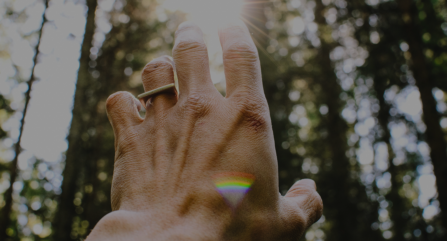 A hand reaching toward the sun in a forest, featuring a small ring and a subtle rainbow light flare on the skin.