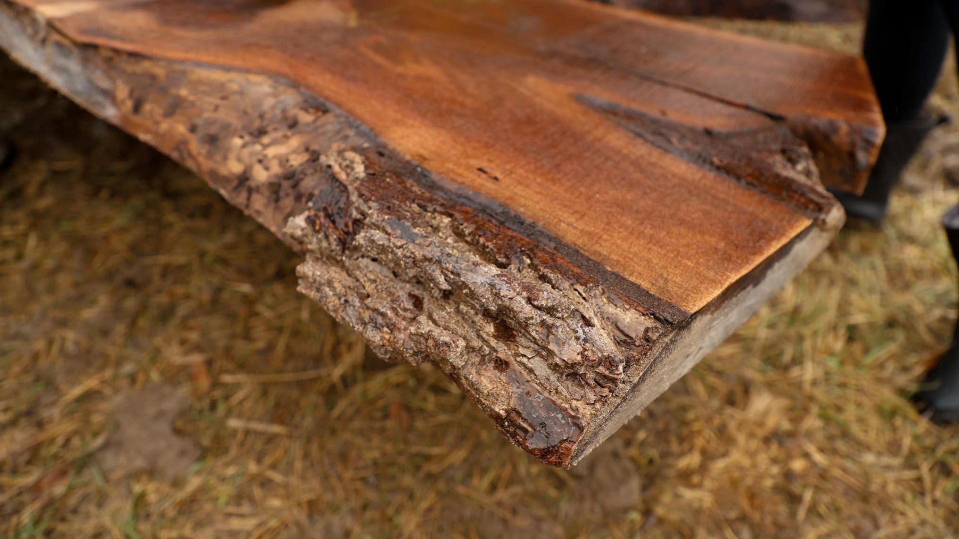A piece of wood is sitting on top of a grass covered field.