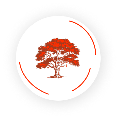 A tree with red leaves is in a circle on a white background.