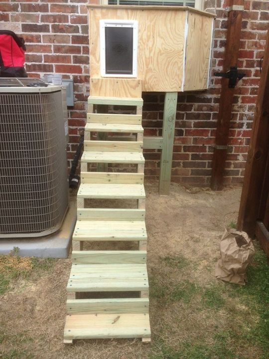 Stairway built leading to pet's house