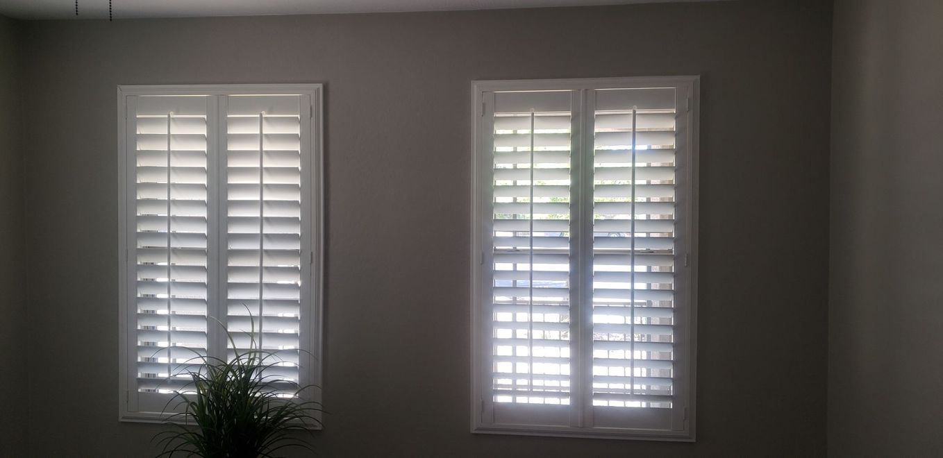 Two white shuttered windows on a gray wall. A plant sits below one window.