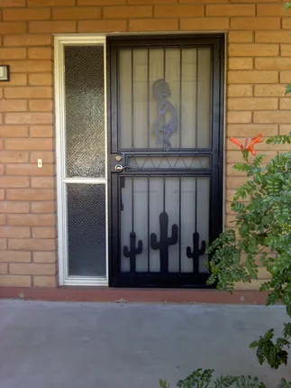 Black security door with cactus and silhouette details, next to a sidelight with textured glass, brick wall.