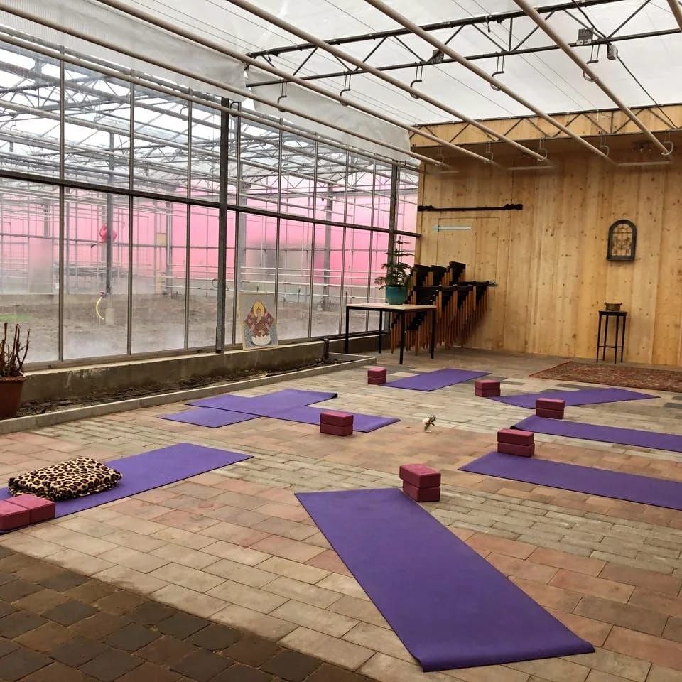 yoga in moestuin