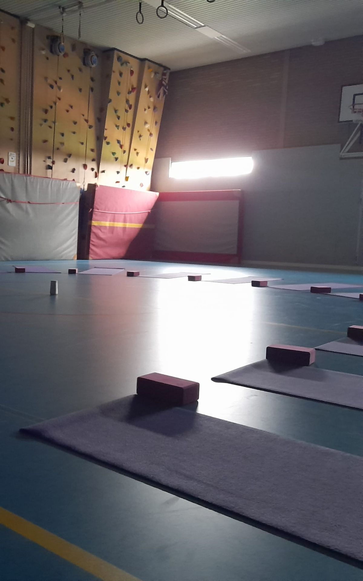 tieneryoga loslaten