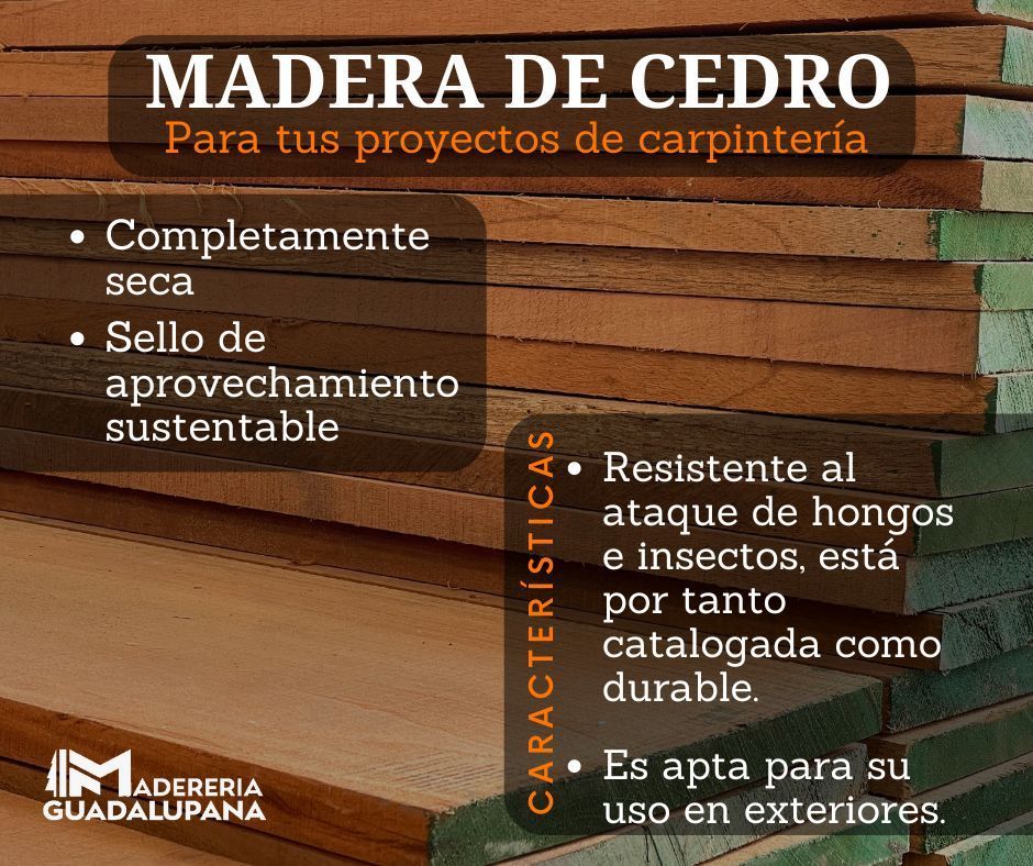 MADERERÍA GUADALUPANA