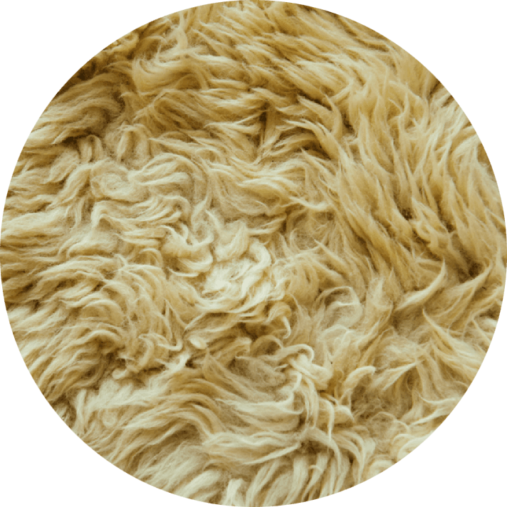 close up of wool carpet