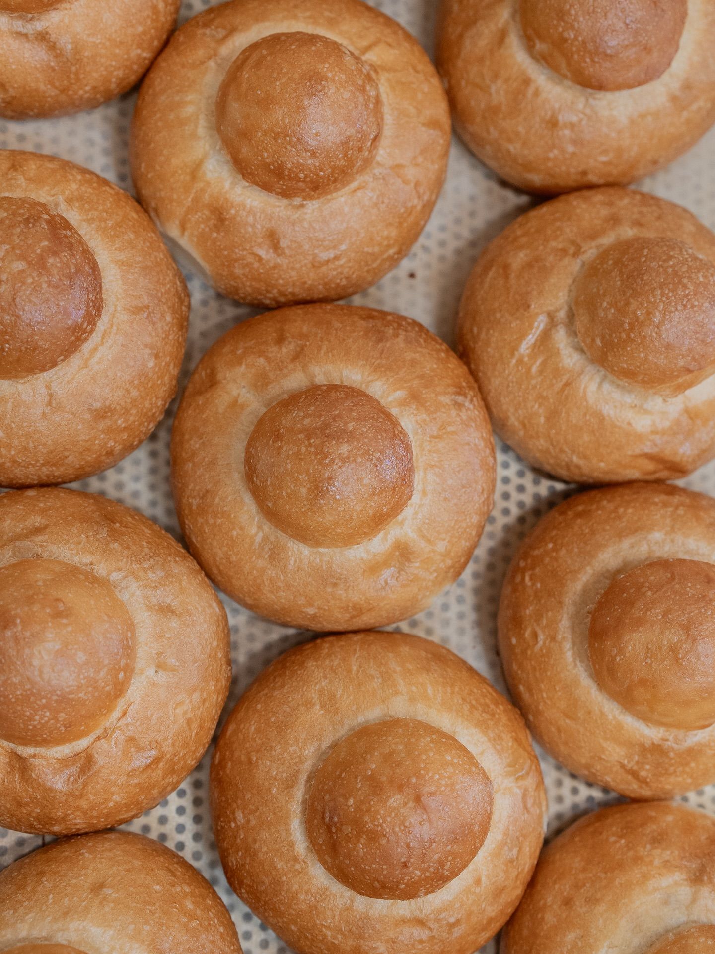 Close-up of baked brioche buns with a central dome, arranged on a baking sheet. Golden-brown color.Domenica
Home made italian pastries, food & coffee