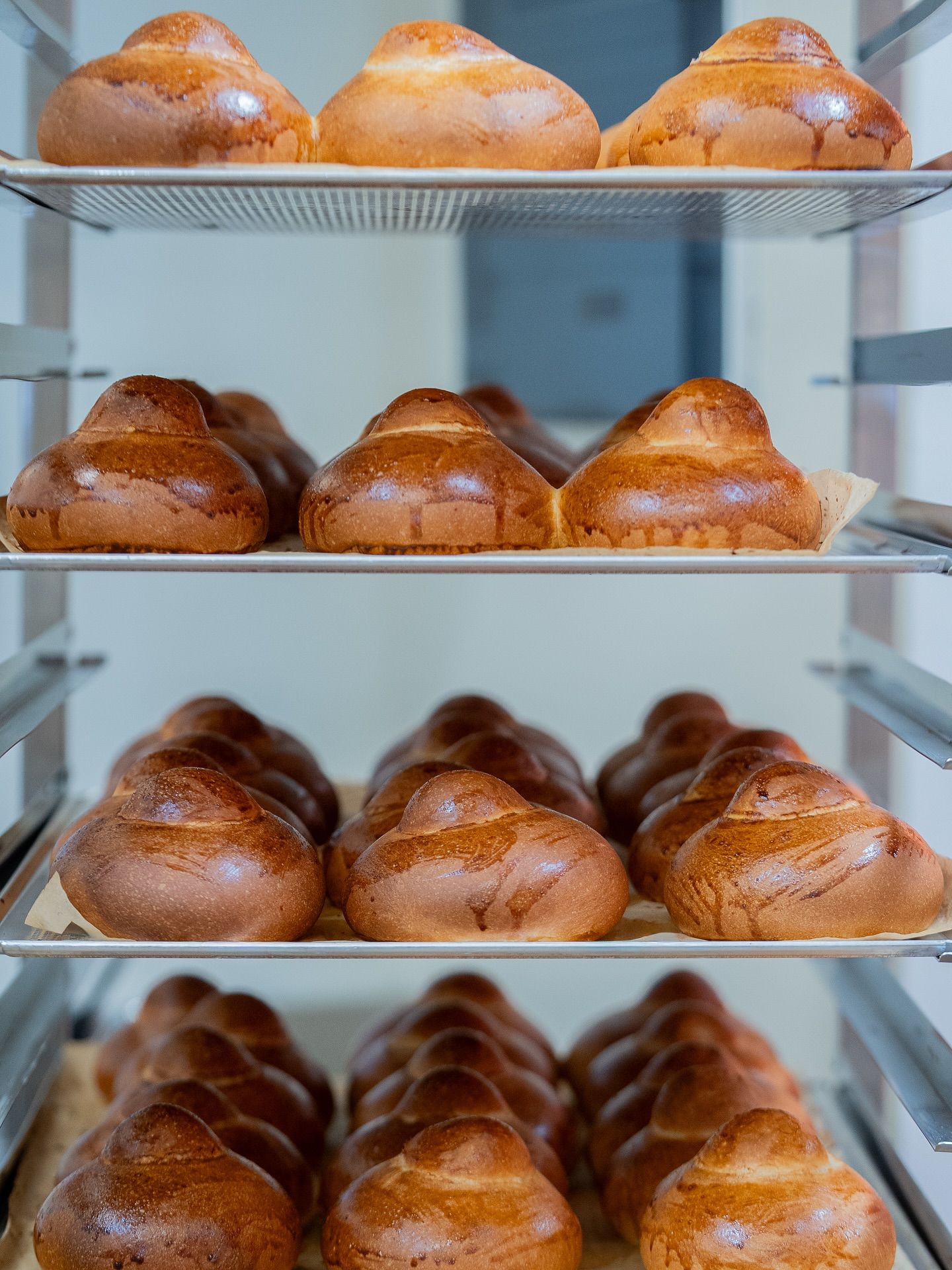 Brioche buns, golden brown and fluffy, arranged on metal racks in a bakery.Domenica
Home made italian pastries, food & coffee