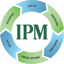 Diagram of Integrated Pest Management (IPM) cycle in green and blue. The cycle includes Pest ID, Prevention, Monitoring, Choose Options, Action, and Evaluation.
