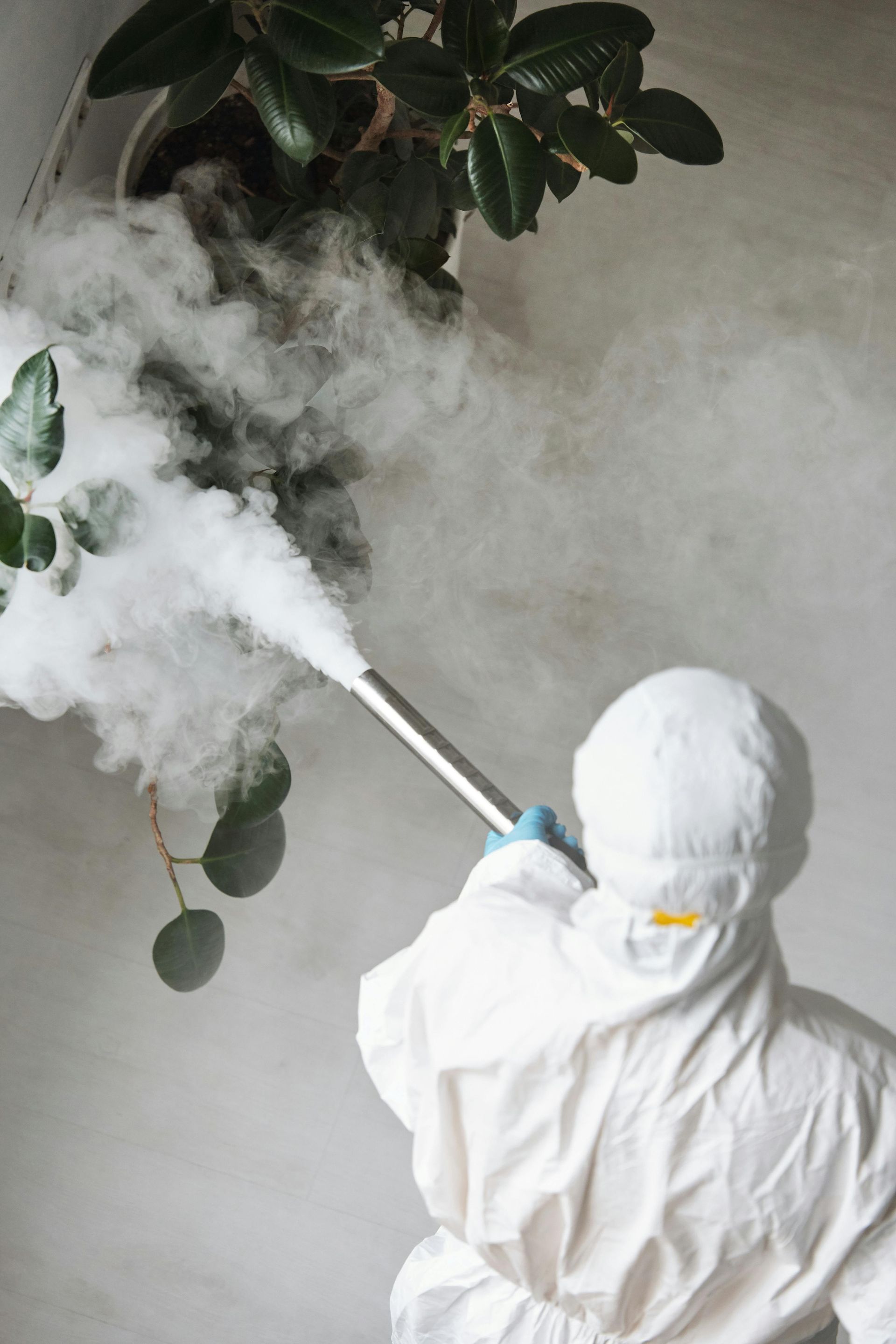 Person in white protective suit spraying fog near a houseplant.