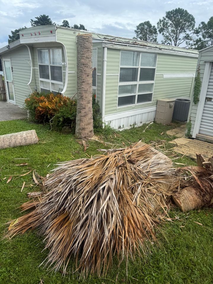 Storm-damaged mobile home with bent siding, fallen palm fronds, and a broken palm trunk in the yard Storm-damaged mobile home with bent siding, fallen palm fronds, and a broken palm trunk in the yard