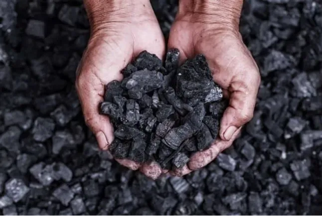 Holding a Chunk of Coal with both hands