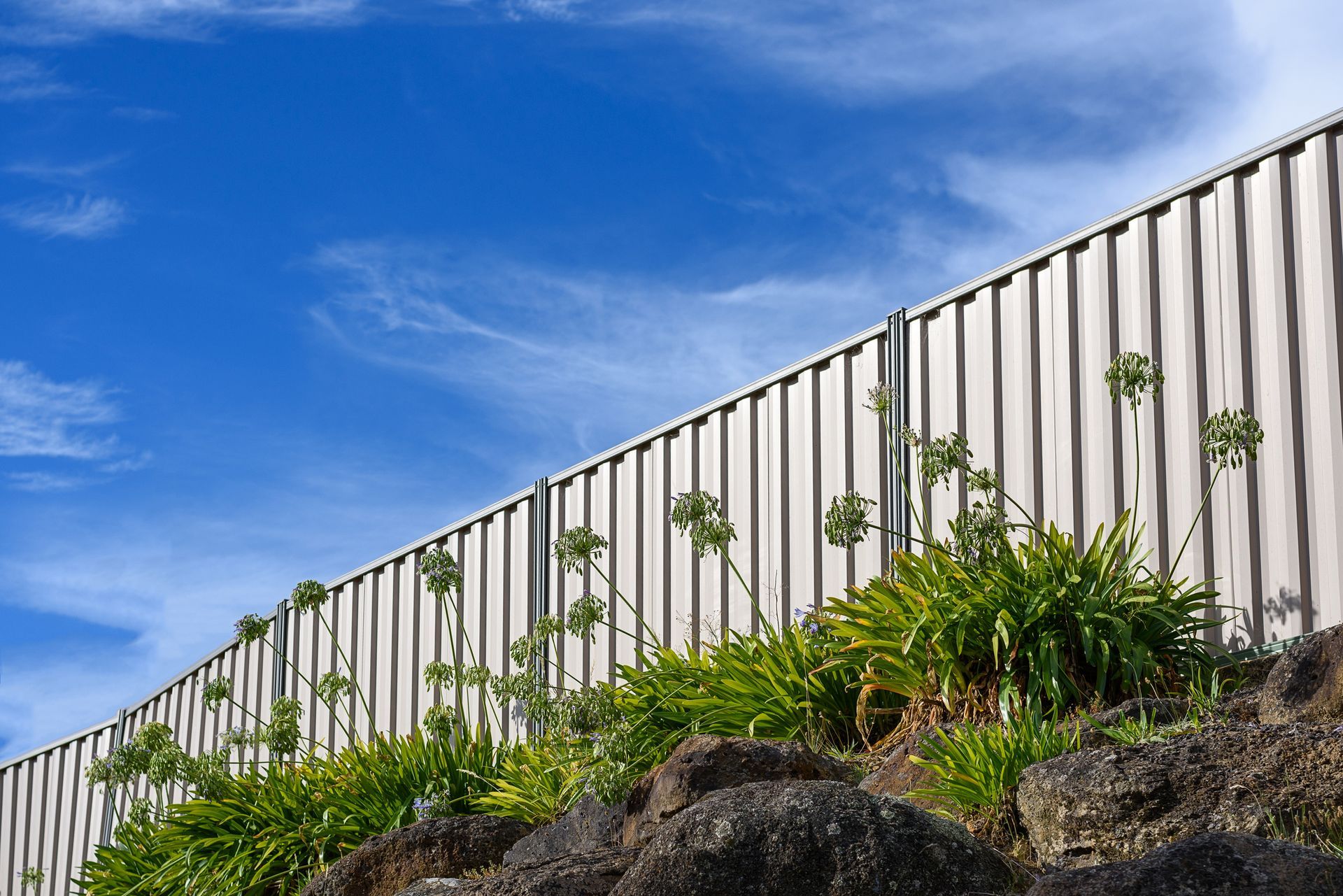 A white fence with plants growing on it and a blue sky in the background.