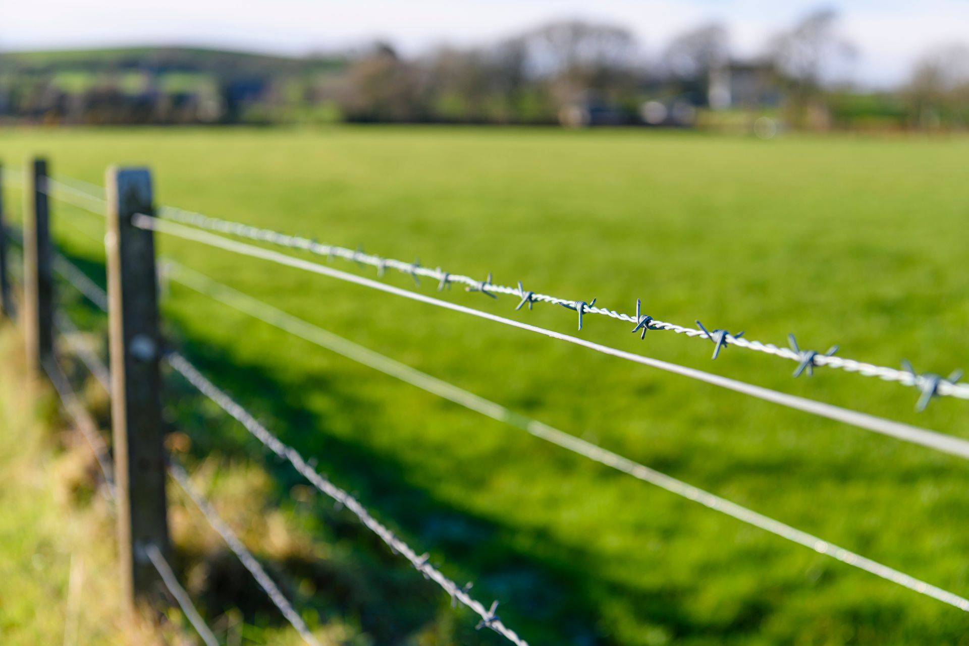 A barbed wire fence surrounds a green field.