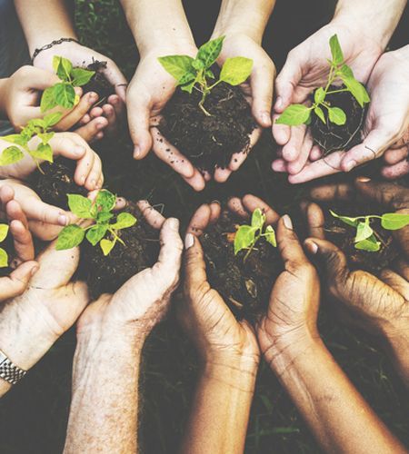 Group of environmental conservation people hands planting