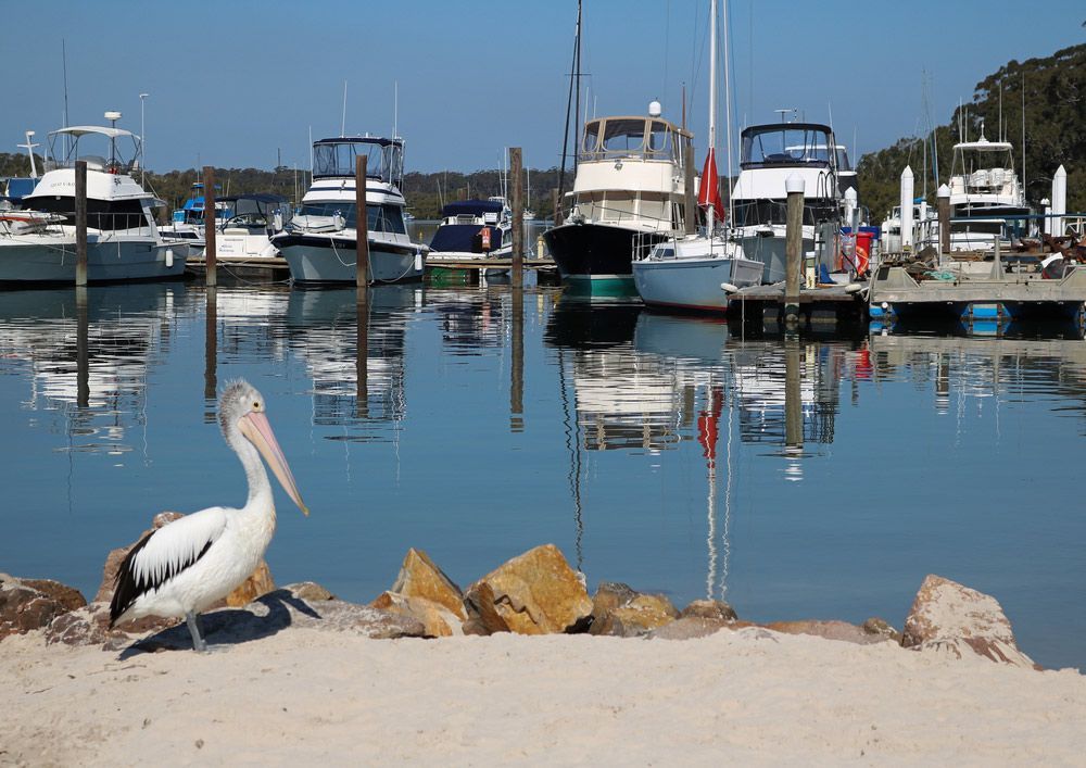 Pelican Sight At The Bay — Water Equipment in Tanilba Bay, NSW