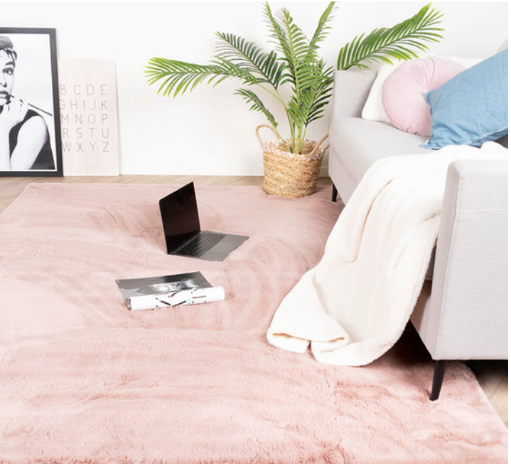 Een woonkamer met een roze kleed en een laptop op de vloer