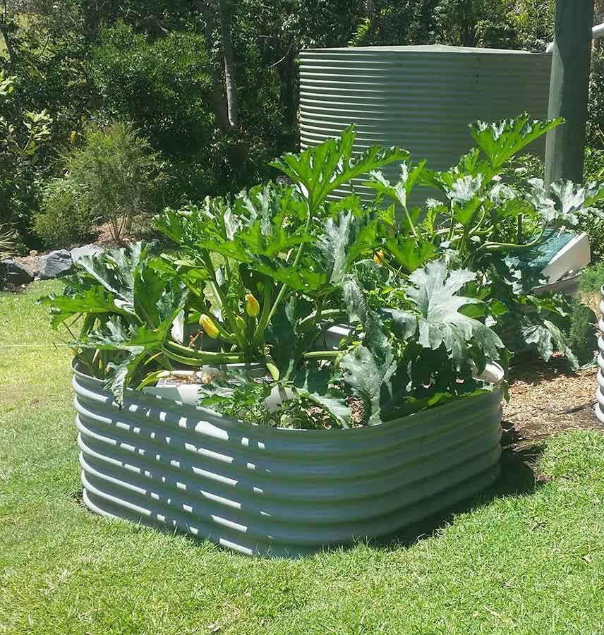 A Metal Planter Filled With Plants is Sitting on Top of a Lush Green Lawn — Foley's Tanks in Caloundra, QLD