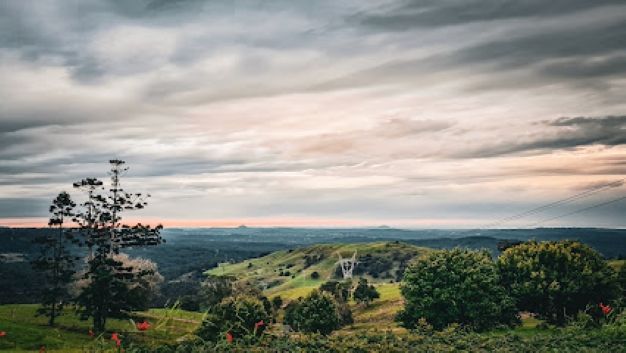 There is a Tree in the Foreground and a Cloudy Sky in the Background — Foley's Tanks in Manley, QLD