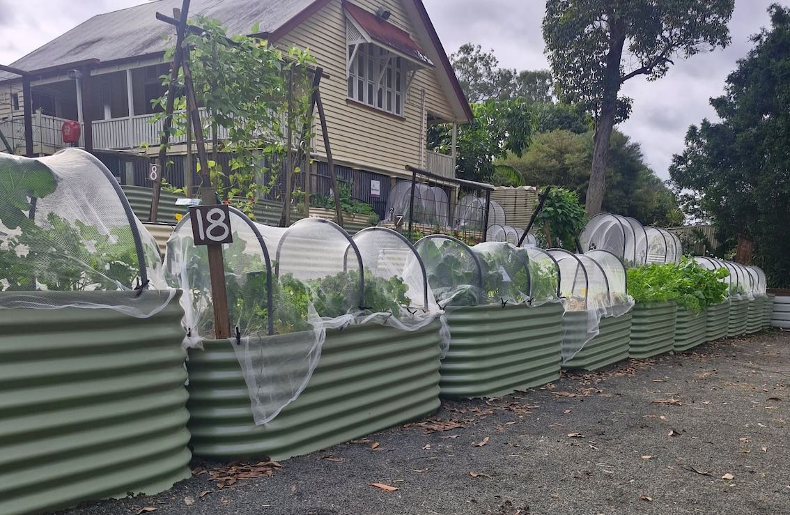 A Row of Corrugated Metal Planters Filled With Vegetable & Herbs — Foley's Tanks in Woombye, QLD