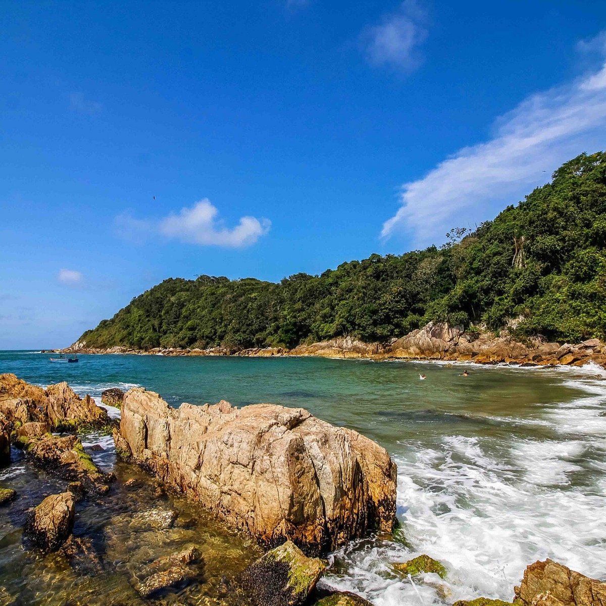 Praia rochosa com água cristalina turquesa, colinas arborizadas e um céu azul brilhante.