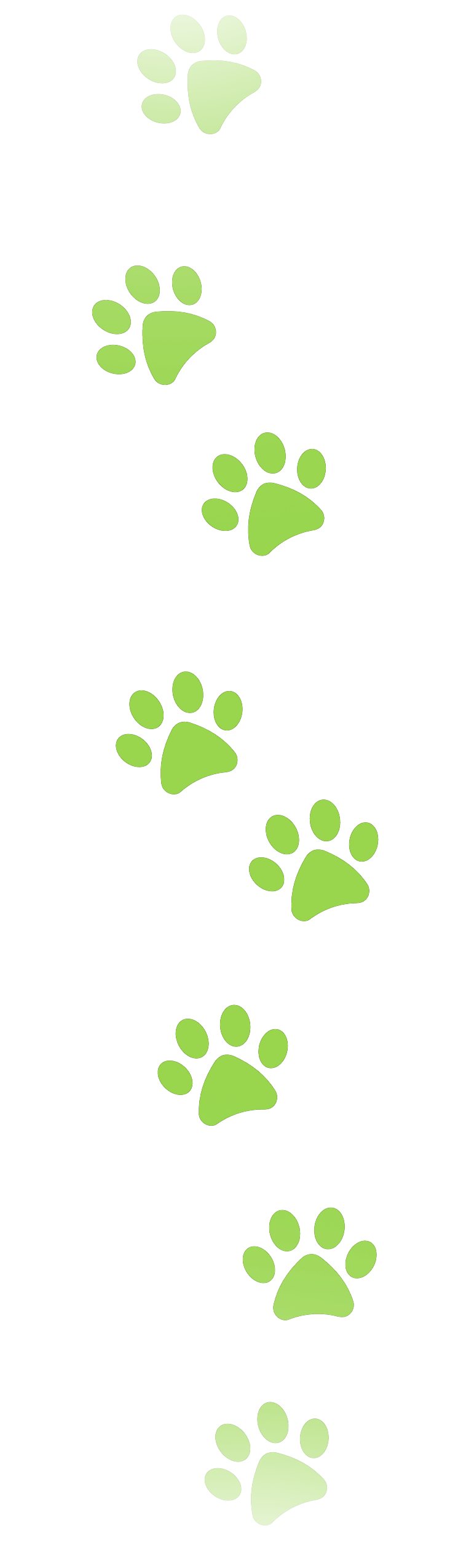 A row of green paw prints on a white background.