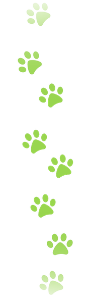 A row of green paw prints on a white background.