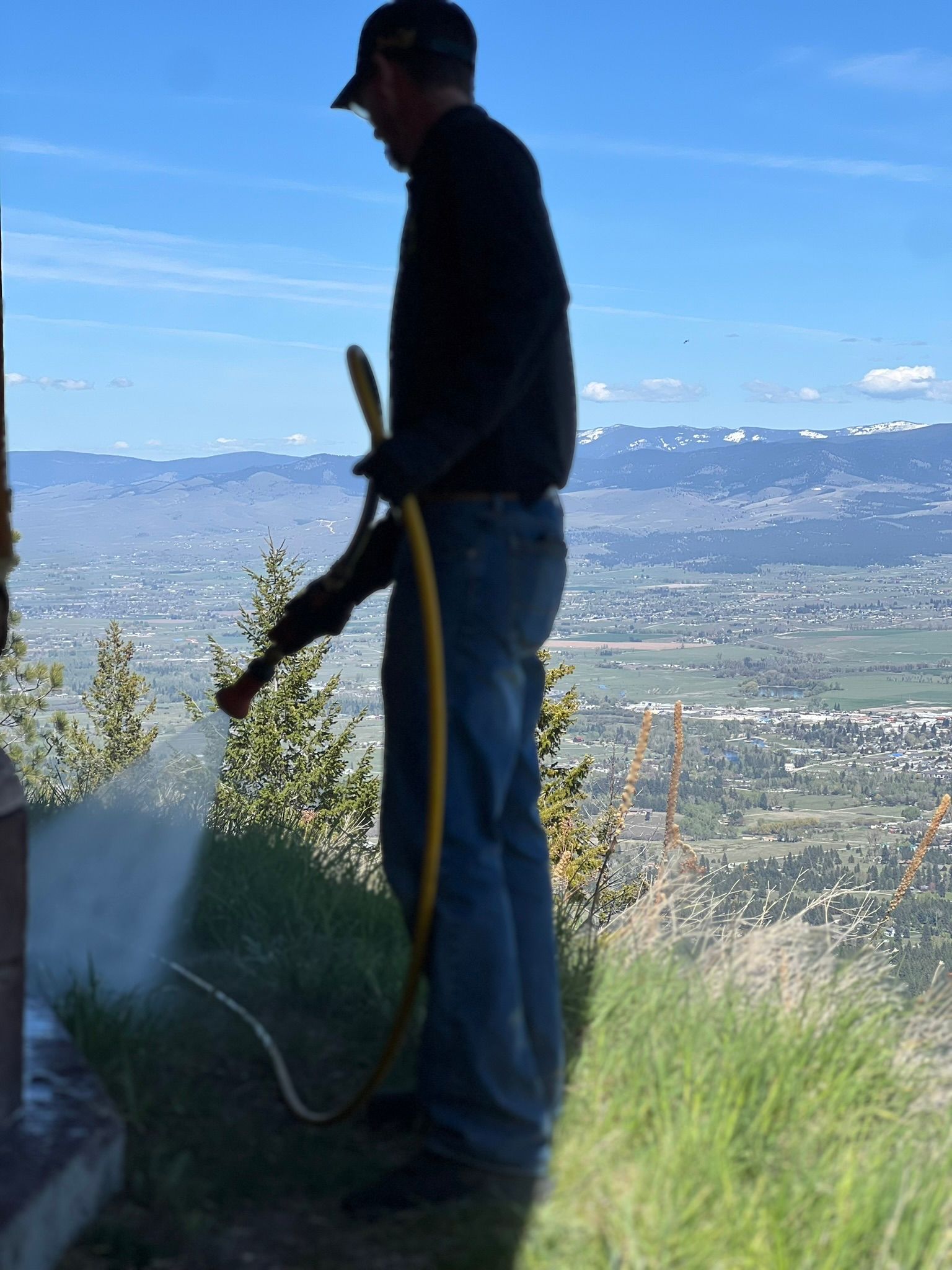 Gallery Bug Off Pest Control Kalispell, Hamilton, Polson, MT
