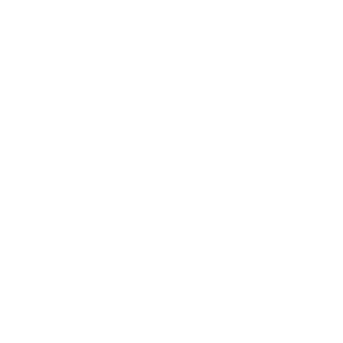 palm tree