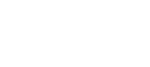 Palmetto Tax Accounting logo