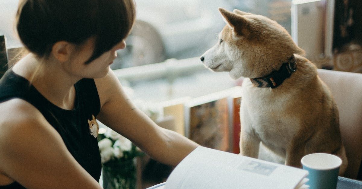 A person and a Shiba Inu dog gaze at each other while sitting at a table with a coffee cup in a brightly lit room.