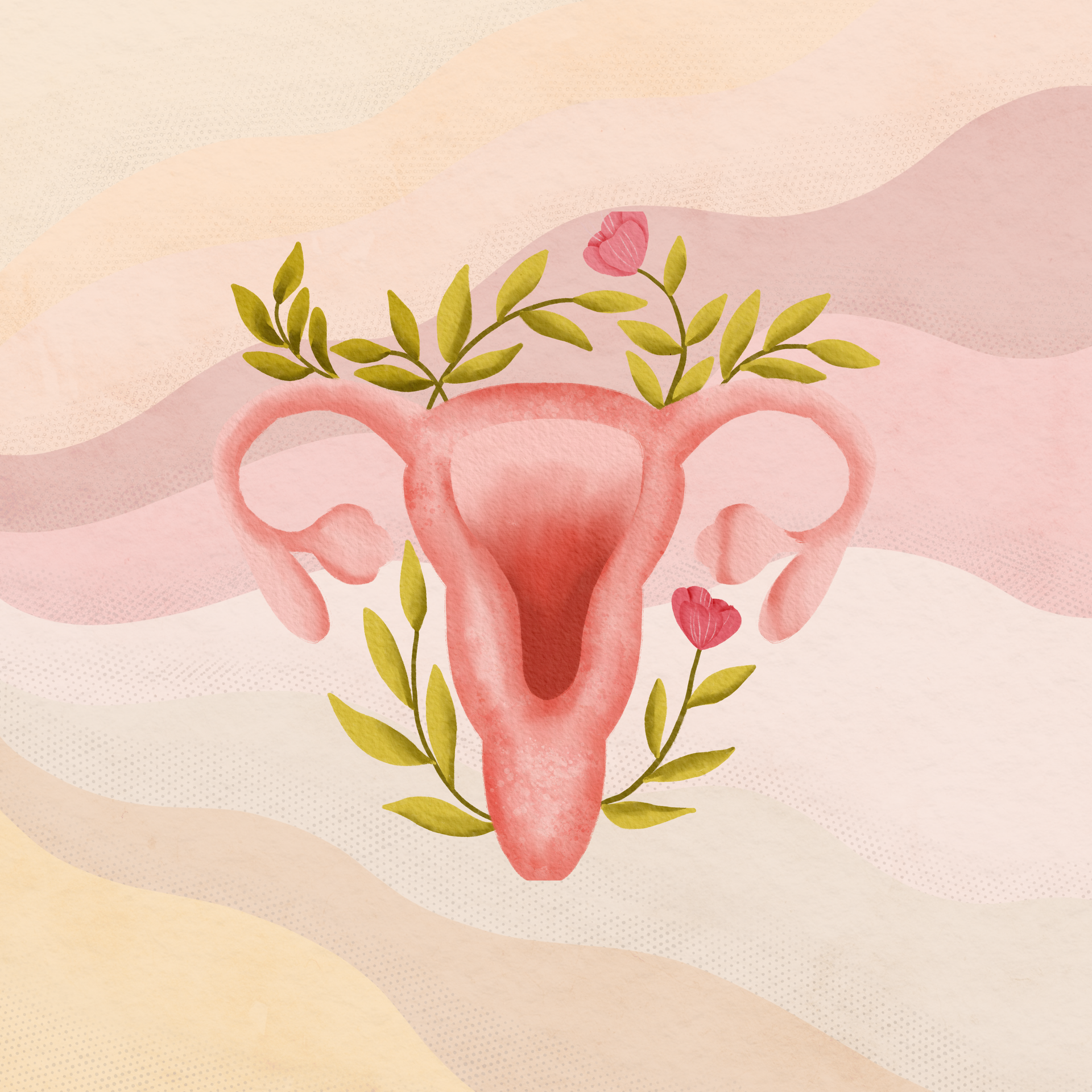 De Invloed van een baarmoederverwijdering op je Eierstokken en je Hormonen.