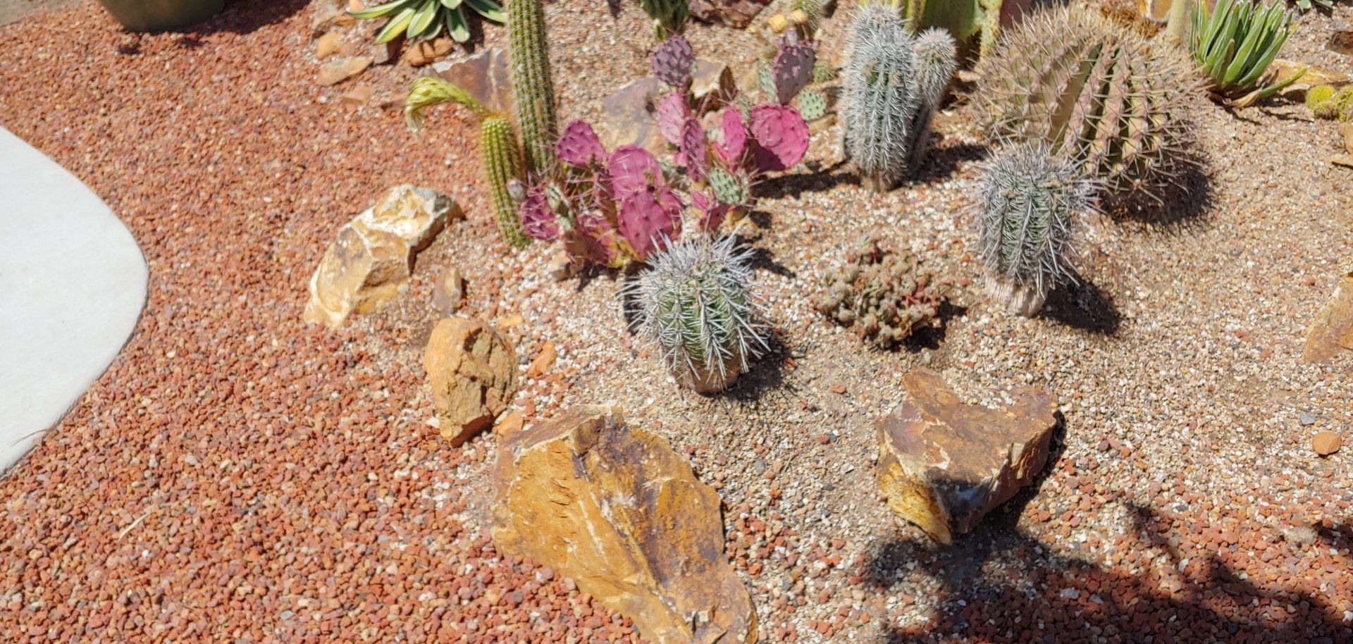 Bancroft Bedding Dryscape and Lava Rock — Martinez, CA — Contra Costa Topsoil, Inc.
