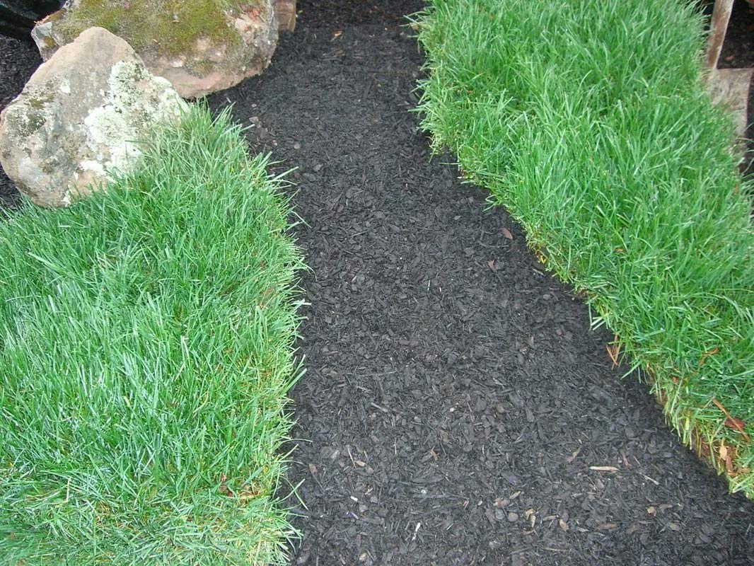 Black Mini Bark — Martinez, CA — Contra Costa Topsoil, Inc.