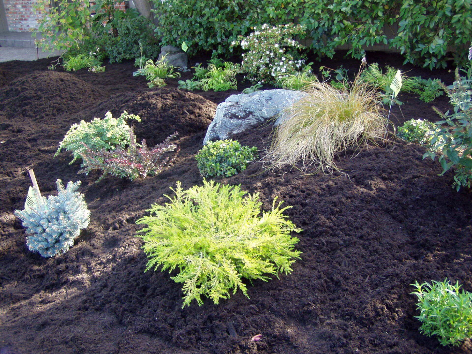 Black Shredded Redwood — Martinez, CA — Contra Costa Topsoil, Inc.