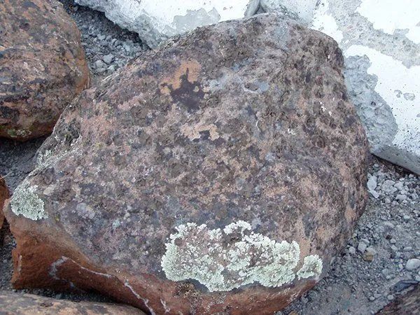 Moss Boulders — Martinez, CA — Contra Costa Topsoil, Inc.