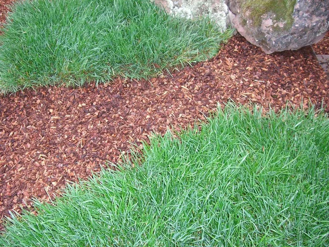 Small Bark — Martinez, CA — Contra Costa Topsoil, Inc.