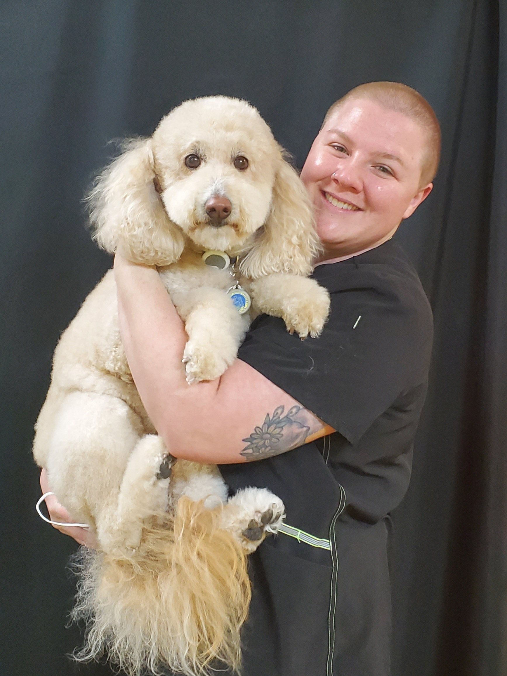 Adventure Pet Resort