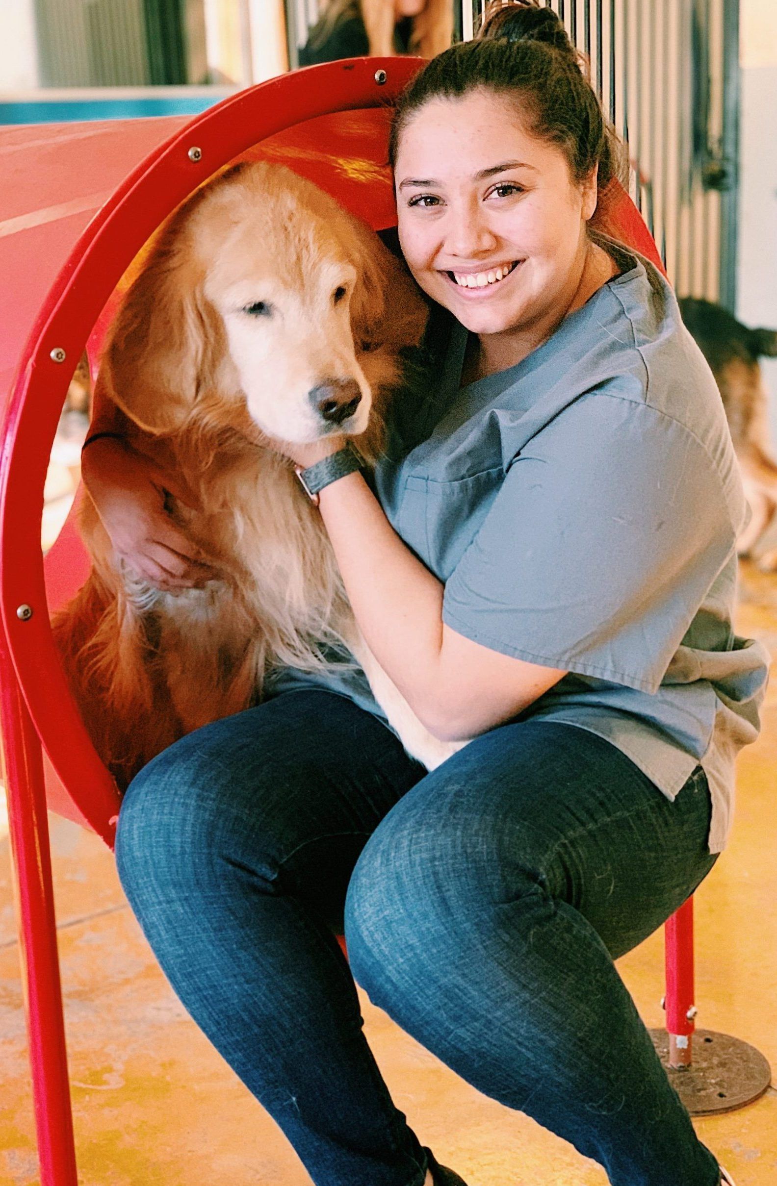 Adventure Pet Resort